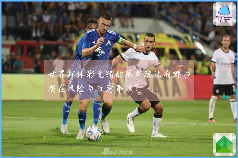 世界杯体彩竞猜的冠军玩法有哪些潜在风险与注意事项？