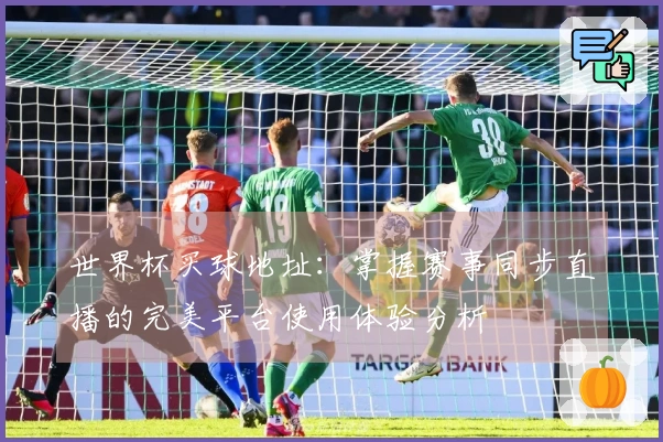 世界杯买球地址：掌握赛事同步直播的完美平台使用体验分析