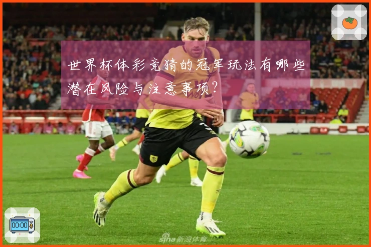 世界杯体彩竞猜的冠军玩法有哪些潜在风险与注意事项？