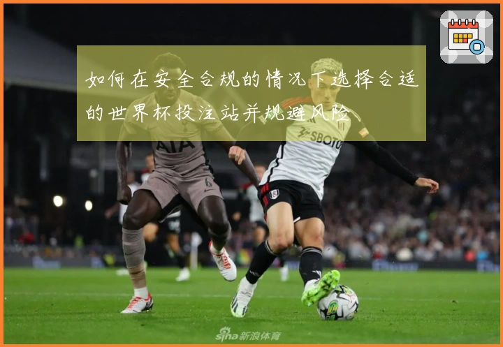 如何在安全合规的情况下选择合适的世界杯投注站并规避风险