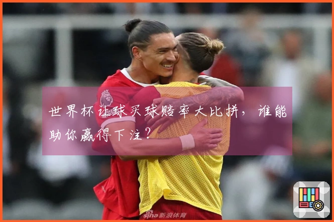 世界杯让球买球赔率大比拼，谁能助你赢得下注？