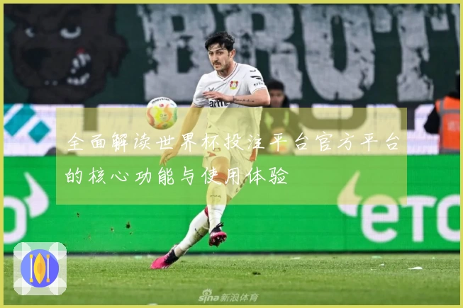 全面解读世界杯投注平台官方平台的核心功能与使用体验