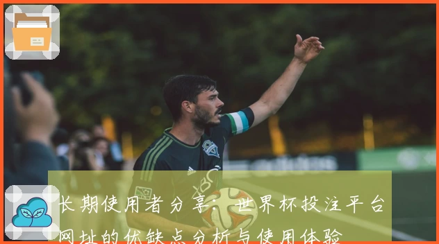 长期使用者分享：世界杯投注平台网址的优缺点分析与使用体验