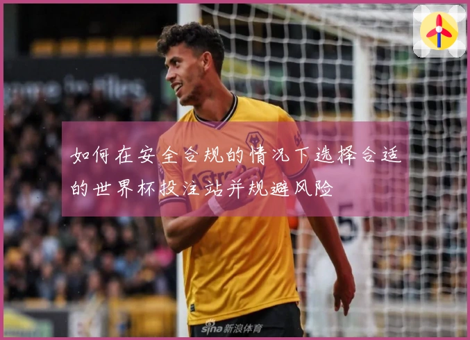 如何在安全合规的情况下选择合适的世界杯投注站并规避风险