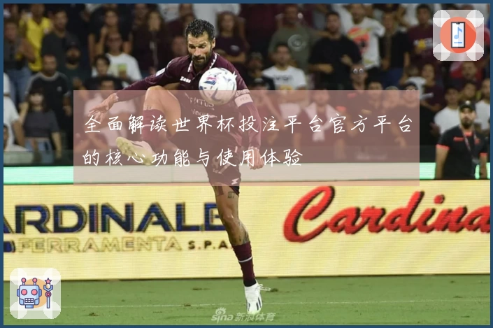 全面解读世界杯投注平台官方平台的核心功能与使用体验