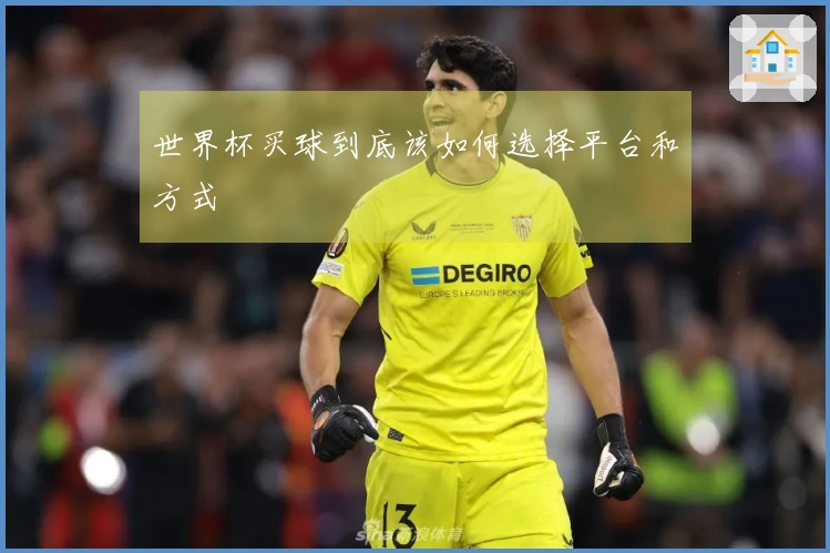 世界杯买球到底该如何选择平台和方式