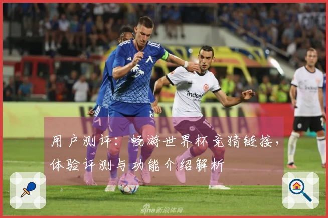 用户测评：畅游世界杯竞猜链接，体验评测与功能介绍解析