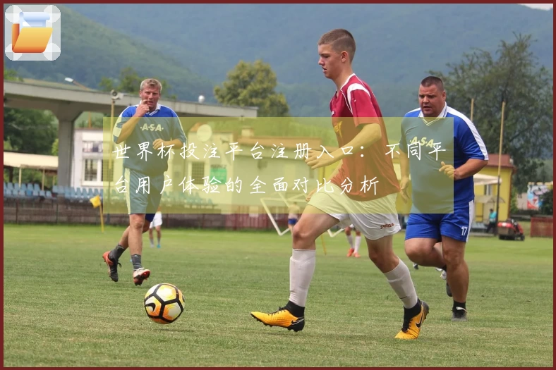 世界杯投注平台注册入口：不同平台用户体验的全面对比分析